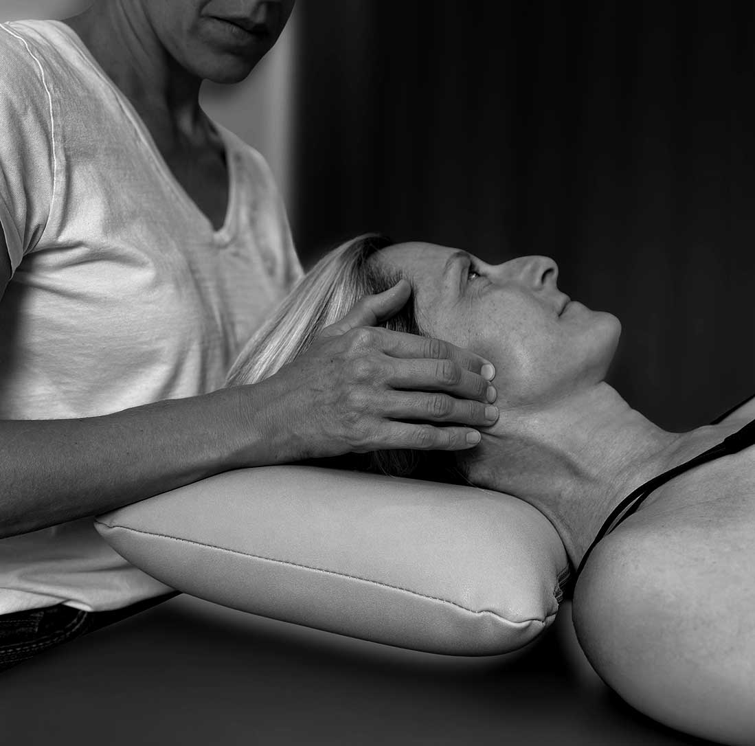 Physio-Fruetel_Rauenberg-MT_Kiefer- Physiotherapie Frütel Rauenberg Manuelle Therapie Kiefergelenk